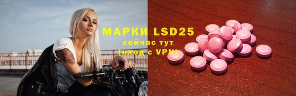 ГАЛЛЮЦИНОГЕННЫЕ ГРИБЫ Костерёво