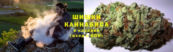 ГАЛЛЮЦИНОГЕННЫЕ ГРИБЫ Костерёво