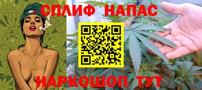 гидра Волгодонск