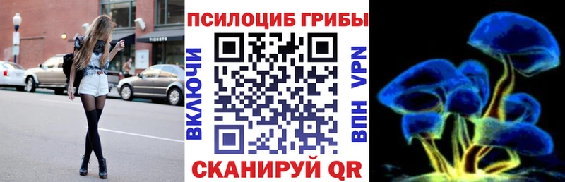 Псилоцибиновые грибы Cubensis  где продают   Зеленогорск 