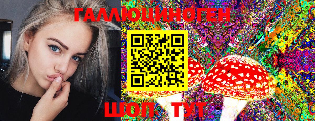 Псилоцибиновые грибы Cubensis Зеленогорск