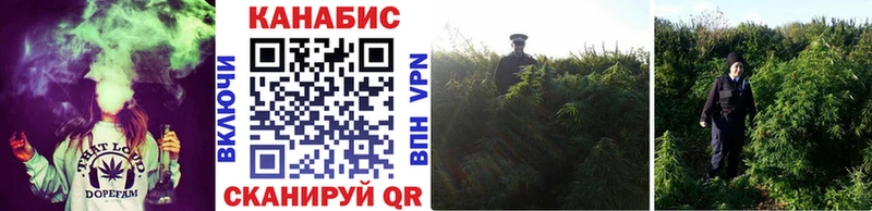Каннабис LSD WEED  Зеленогорск 